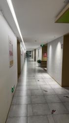 -雪绒花月子会所(万安店)