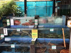 -侨美唐荔园·宴会厅(唐荔园食艺馆店)