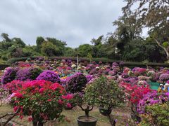 -三亚蜈支洲岛旅游区