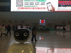 -中国人民解放军总医院(301医院)