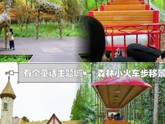 -东平国家森林公园