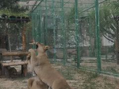 -鄂尔多斯野生动物园