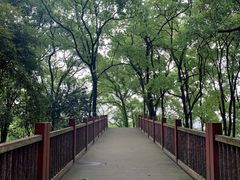 -南山植物园