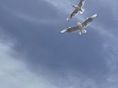 -乌梁素海景区