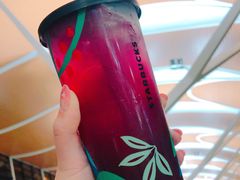 -上海浦东国际机场-T2航站楼