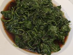 -圆苑(金茂店)