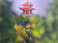 -福建泉州仙公山风景名胜区