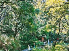 -野三坡百草畔景区