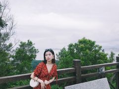 -广东惠东海龟国家级自然保护区