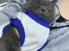 -芭比堂爱心动物医院·心脏科·犬猫内科(越城可乐分院)