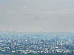 -紫金山山顶公园