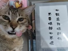 -瑞派蒂凯宠物医院·免疫点·宠保定点