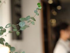 -转山咖啡(松柏社区店)