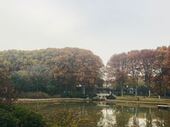 -河南省黄河迎宾馆