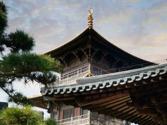 -广富林郊野公园
