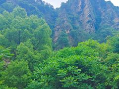 -庐山碧龙潭风景区