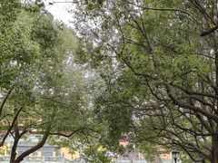 -南京市江宁方山