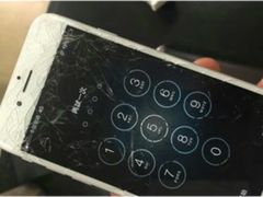 -Apple Store苹果手机电脑售后维修中心(浦东店)