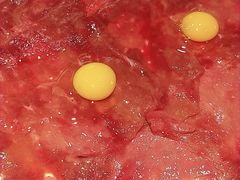 -映山红鲜货火锅(鱼嘴店)