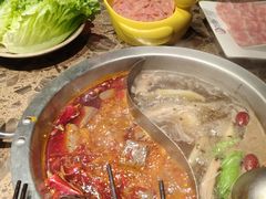 -小龙坎火锅(沙井店)