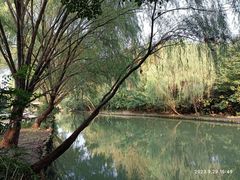 -同里国家湿地公园