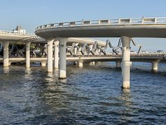 -演武大桥观景平台