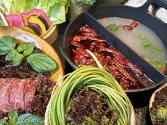 -大龙燚·旷野鲜火锅(广州首店)