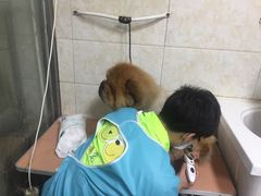 -A猫a狗全科·犬猫异宠·芥西宠物医院(南开总院)