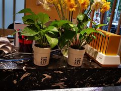 -赤稻·日式料理(禅城店)