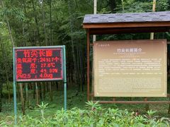 -陶祖圣境风景区