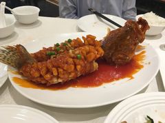 -大铁勺新津菜(东丽阳光新业广场店)