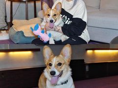 -成都雅诗阁来福士