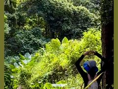 -火炉山森林公园