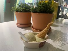 -Mint Gelato(二厂店)