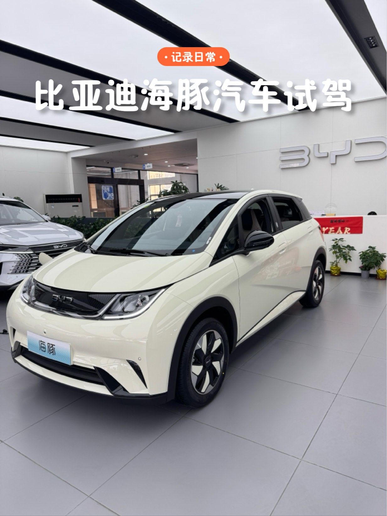新能源车比亚迪海豚试驾