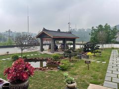 -马村鱼头