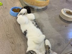-宠物世家(仲盛世界商城店)