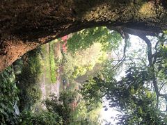 -杭州植物园