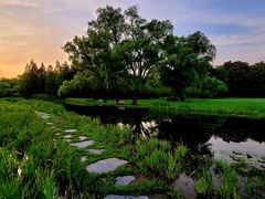 -上海共青森林公园