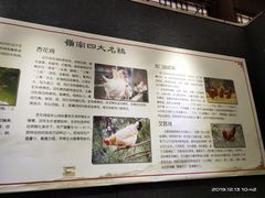 -飞来湖湿地公园