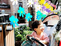 -中旅阿那亚九龙湖·公主酒店