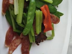 -云中小雅