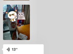 -咖咖熊蛋糕定制·蓝风车动物奶油