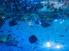 -华夏文旅西安度假区