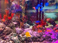 -沈阳海洋探索中心