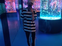 -左海海底世界