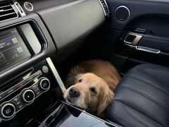 -心仪动物医院·牙专科·肿瘤·心脏科(西客站院)