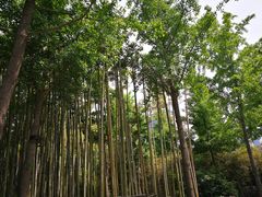 -唐城墙遗址公园