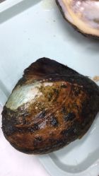 -邵老师打金·黄金加工(大望路总店)