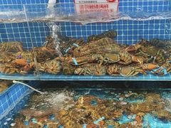 -大锅强·蒸海鲜青岛菜(吾悦广场店)